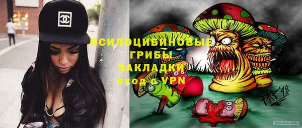 a pvp Алексин