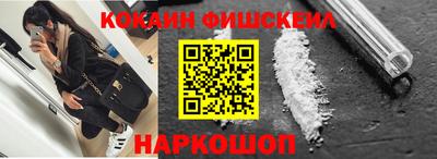 индика Пенза