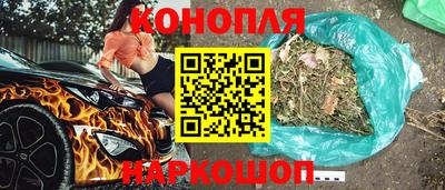 индика Пенза