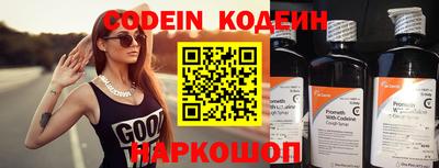 индика Пенза