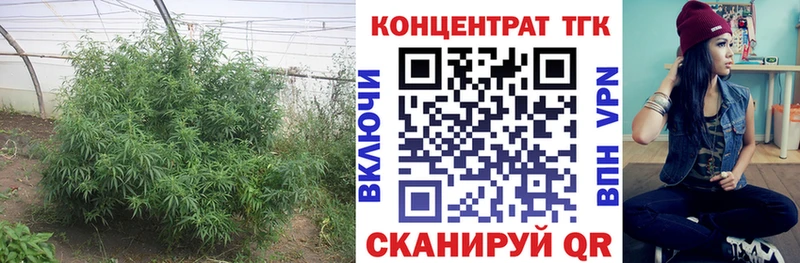 ТГК Wax  kraken онион  Моздок 