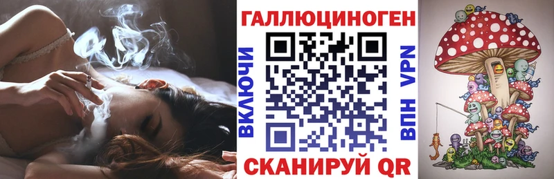 Псилоцибиновые грибы GOLDEN TEACHER Моздок