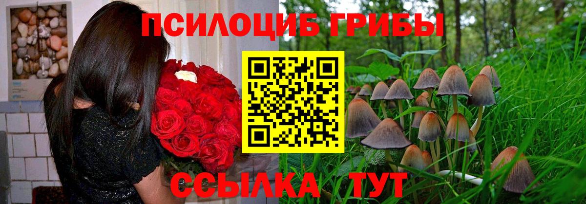 Галлюциногенные грибы мухоморы  Вход с VPN  Моздок  Псилоцибиновые грибы MAGIC MUSHROOMS 