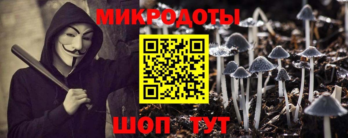Галлюциногенные грибы мухоморы Моздок